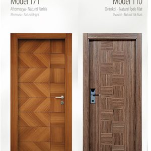 Модель двери 173