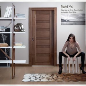 Модель двери 259