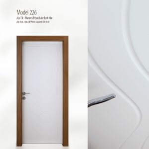 Модель двери 251